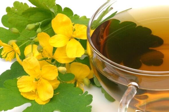 vereurmarohi infusioon prostatiidi raviks